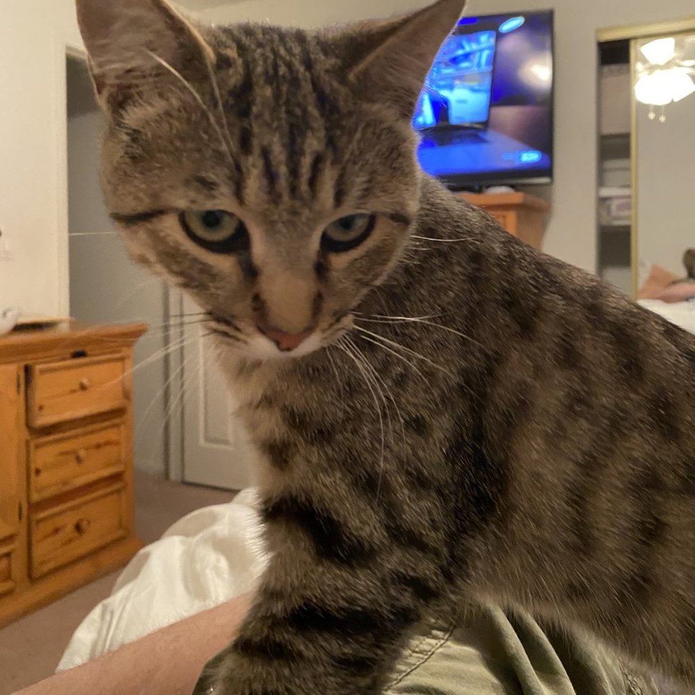 Meet your Posher, Michael